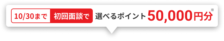 10/30まで初回面談で選べるポイント50,000円分※